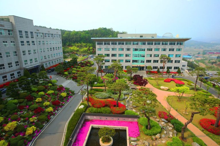Đại học Seojeong - Phát triển kỹ năng sáng tạo trong nghệ thuật và làm đẹp
