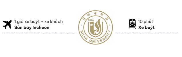 Giao thông quanh trường Đại học SILLA